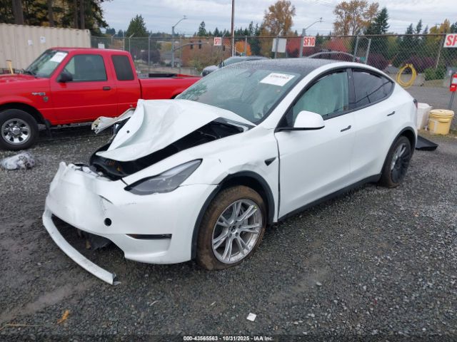 2023 TESLA MODEL Y 7SAYGDEE9PF630169 Photo 1