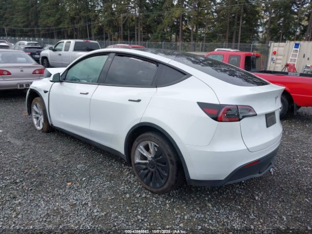 2023 TESLA MODEL Y 7SAYGDEE9PF630169 Photo 2