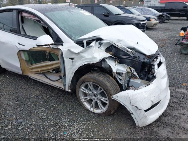 2023 TESLA MODEL Y 7SAYGDEE9PF630169 Photo 5