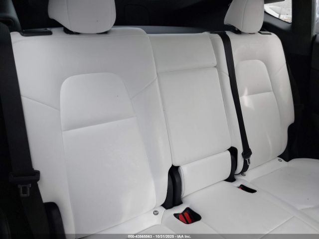 2023 TESLA MODEL Y 7SAYGDEE9PF630169 Photo 7