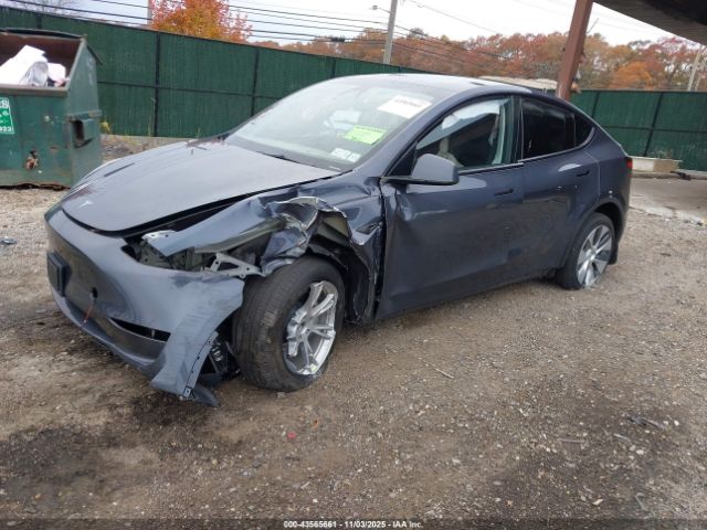 2023 TESLA MODEL Y 7SAYGDEEXPA192355 Photo 1