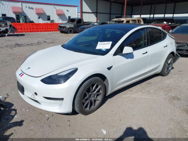 2023 TESLA MODEL 3 5YJ3E1EA4PF429076 Photo 1