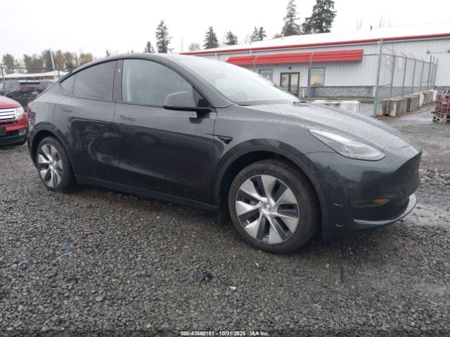 2024 TESLA MODEL Y 7SAYGDEDXRF019531