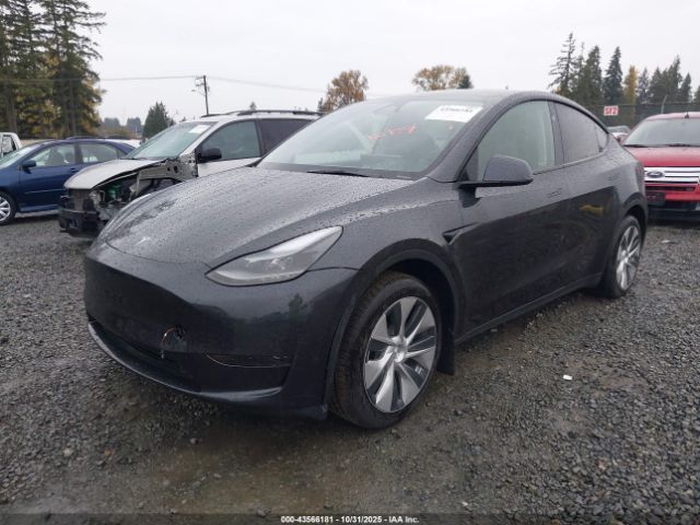 2024 TESLA MODEL Y 7SAYGDEDXRF019531 Photo 1