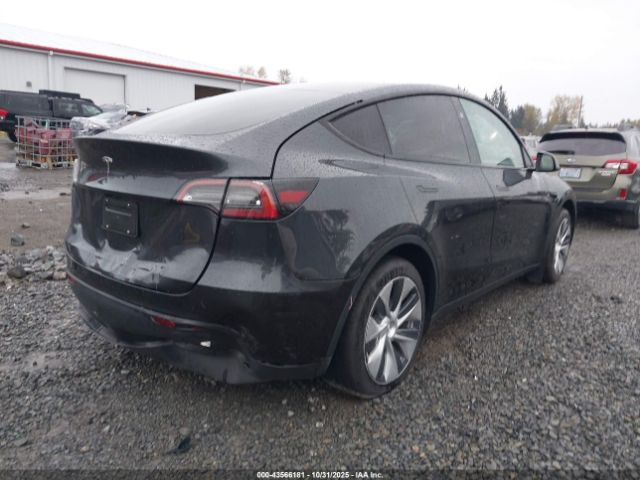 2024 TESLA MODEL Y 7SAYGDEDXRF019531 Photo 3