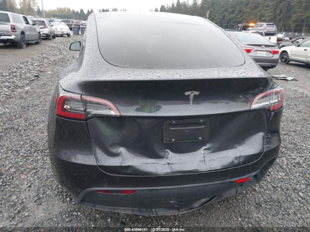 2024 TESLA MODEL Y 7SAYGDEDXRF019531 Photo 5