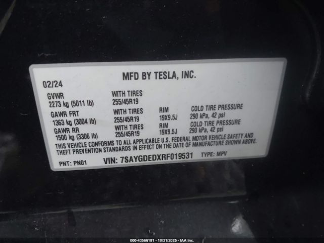 2024 TESLA MODEL Y 7SAYGDEDXRF019531 Photo 8