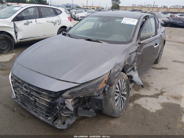 2023 NISSAN ALTIMA 1N4BL4DV0PN341513 Photo 1