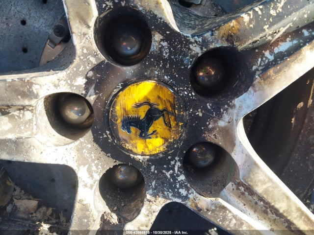 2010 FERRARI 458 ITALIA ZFF67NFA6A0174919 Photo 6