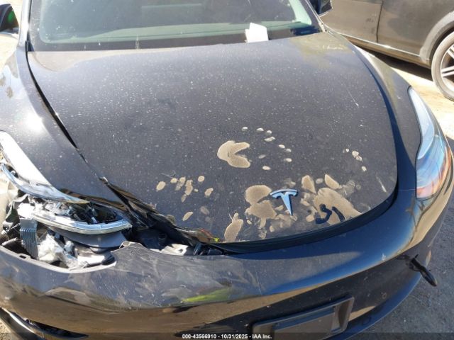 2019 TESLA MODEL 3 5YJ3E1EA5KF193353 Photo 9