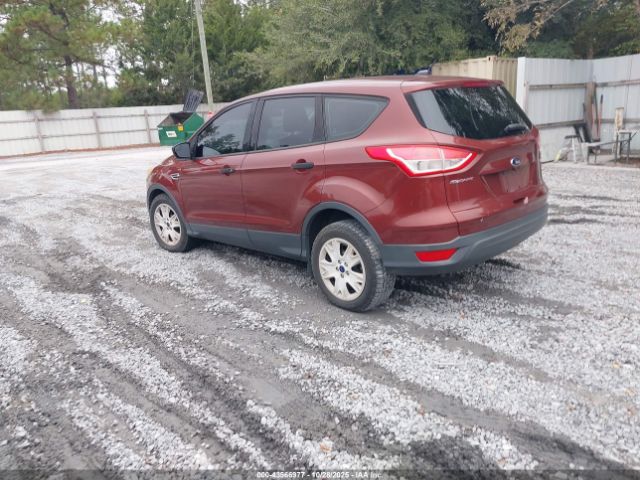 2014 FORD ESCAPE 1FMCU0F79EUC34977 Photo 2