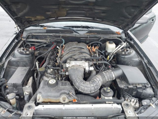 2007 FORD MUSTANG 1ZVHT85H275342356 Photo 9