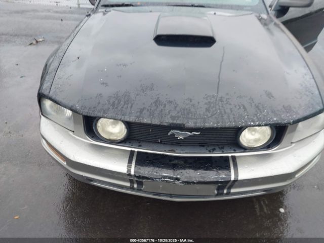 2007 FORD MUSTANG 1ZVHT85H275342356 Photo 5