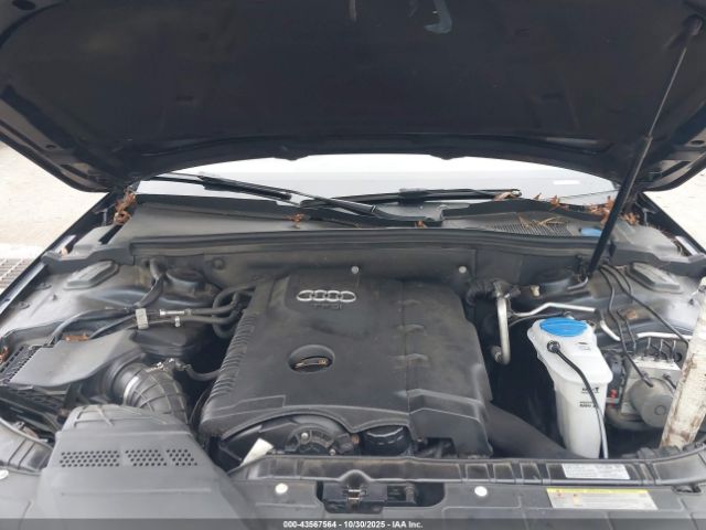 2013 AUDI ALLROAD WA19FAFL8DA170226 Photo 9