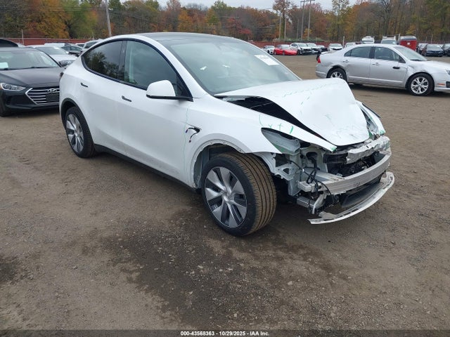 2024 TESLA MODEL Y 7SAYGDEEXRA286691 Photo 0