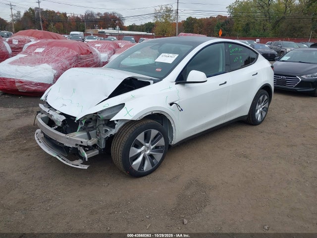 2024 TESLA MODEL Y 7SAYGDEEXRA286691 Photo 1