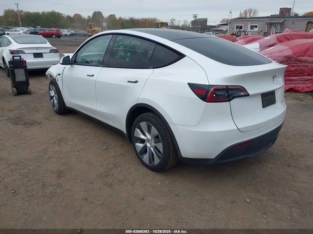 2024 TESLA MODEL Y 7SAYGDEEXRA286691 Photo 2