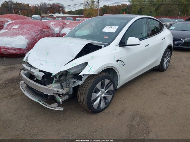 2024 TESLA MODEL Y 7SAYGDEEXRA286691 Photo 5