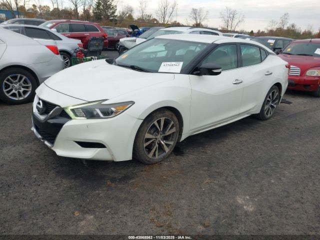 2016 NISSAN MAXIMA 1N4AA6AP5GC385246 Photo 1