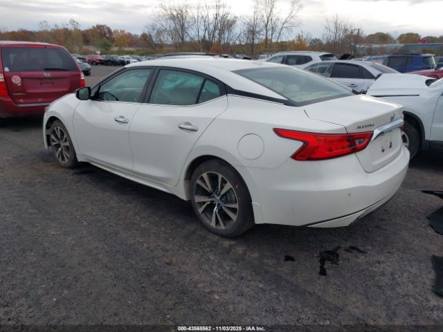 2016 NISSAN MAXIMA 1N4AA6AP5GC385246 Photo 2