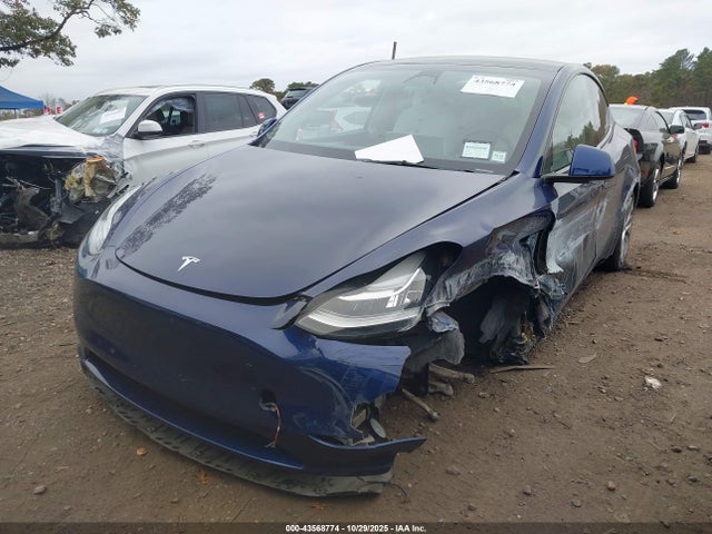 2023 TESLA MODEL Y 7SAYGDEEXPA094779 Photo 1
