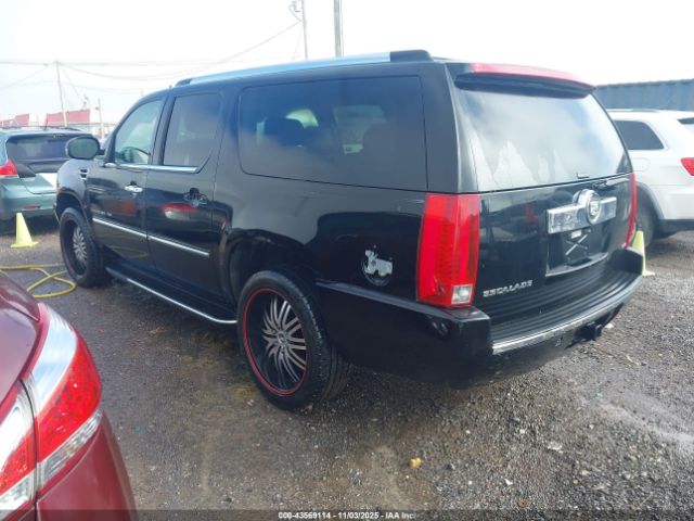 2007 CADILLAC ESCALADE ESV 1GYFK66817R320237 Photo 2