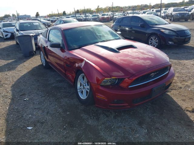 2014 FORD MUSTANG 1ZVBP8AM7E5311338
