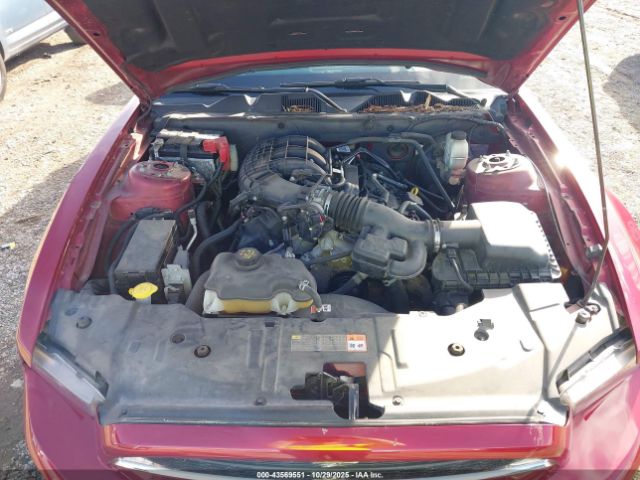 2014 FORD MUSTANG 1ZVBP8AM7E5311338 Photo 9