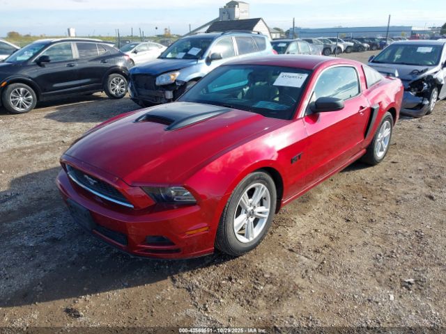 2014 FORD MUSTANG 1ZVBP8AM7E5311338 Photo 1