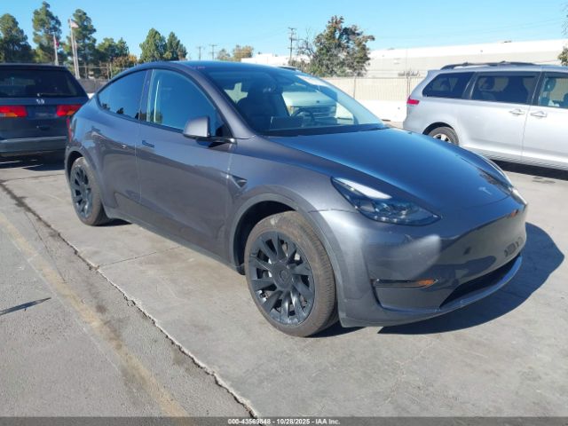2023 TESLA MODEL Y 7SAYGDED5PF980101 Photo 0