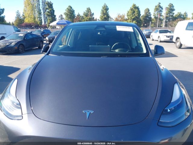 2023 TESLA MODEL Y 7SAYGDED5PF980101 Photo 9