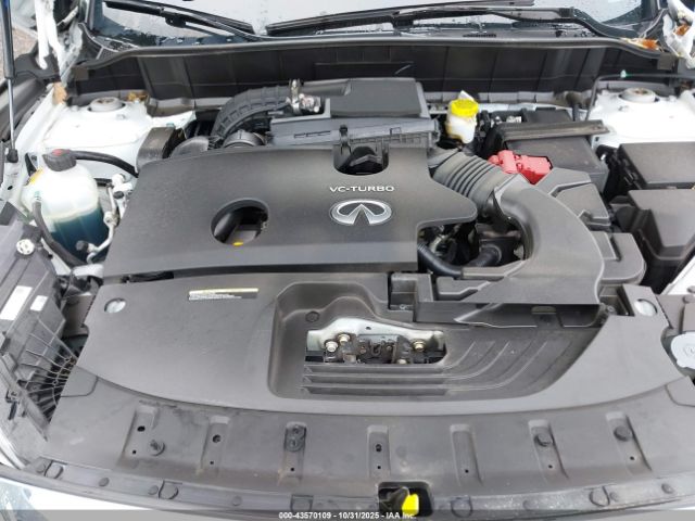 2024 INFINITI QX50 3PCAJ5BB5RF104706 Photo 9