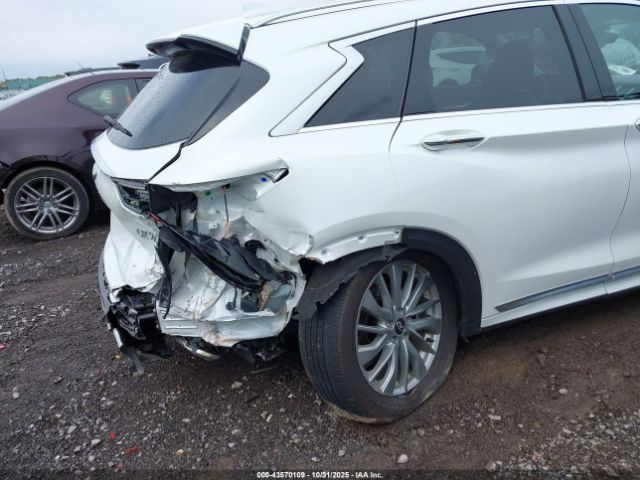 2024 INFINITI QX50 3PCAJ5BB5RF104706 Photo 5