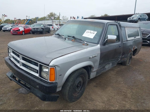 1989 DODGE DAKOTA 1B7FL26X0KS138453 Photo 1