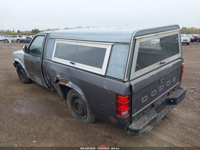 1989 DODGE DAKOTA 1B7FL26X0KS138453 Photo 2