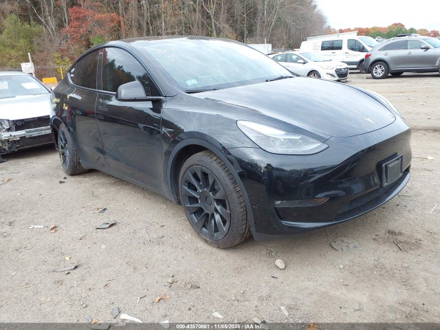 2023 TESLA MODEL Y 7SAYGDEE1PF769440 Photo 0