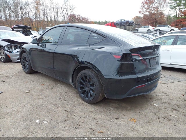 2023 TESLA MODEL Y 7SAYGDEE1PF769440 Photo 2