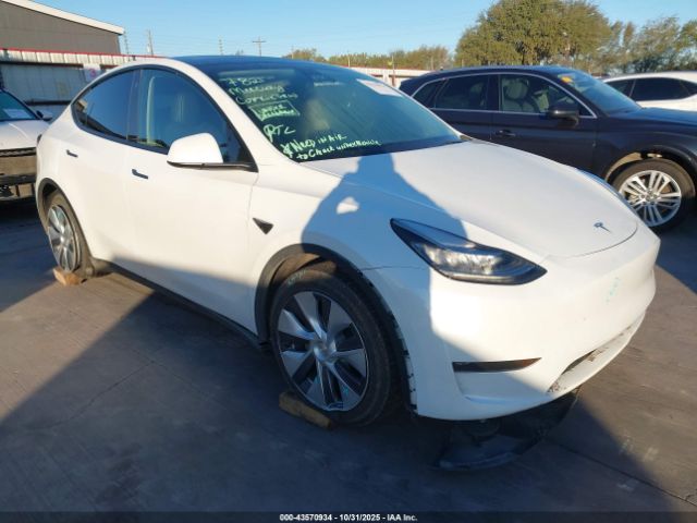 2023 TESLA MODEL Y 7SAYGDEE2PA058634 Photo 0