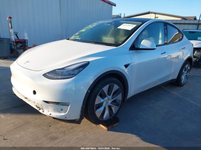 2023 TESLA MODEL Y 7SAYGDEE2PA058634 Photo 1