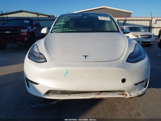 2023 TESLA MODEL Y 7SAYGDEE2PA058634 Photo 5