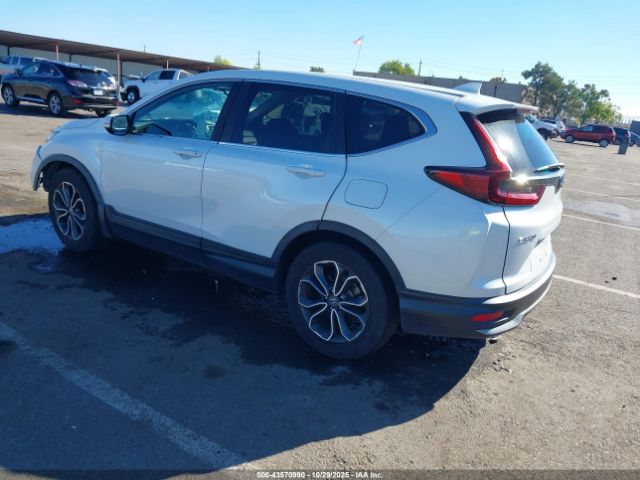 2020 HONDA CR-V 7FARW1H58LE028599 Photo 2