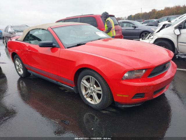 2010 FORD MUSTANG 1ZVBP8EN7A5170333