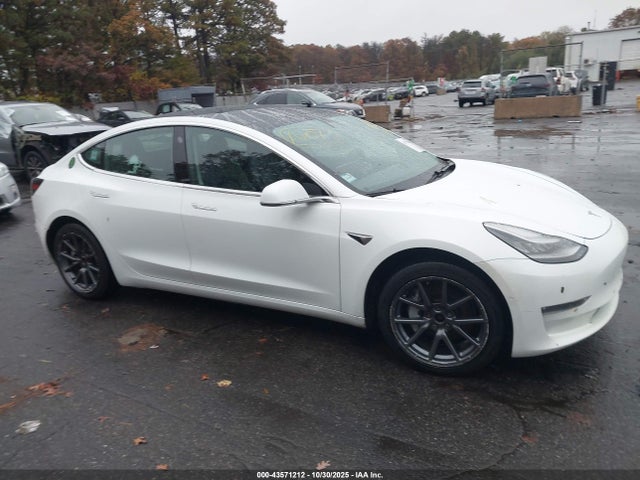 2019 TESLA MODEL 3 5YJ3E1EB0KF493830 Photo 0