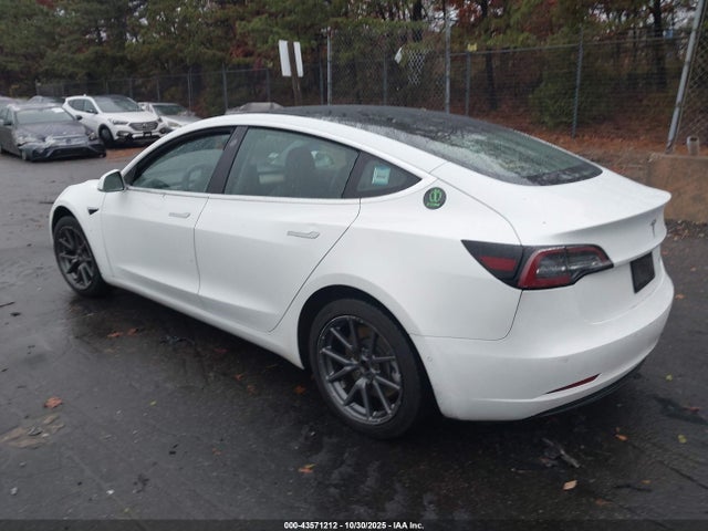 2019 TESLA MODEL 3 5YJ3E1EB0KF493830 Photo 2
