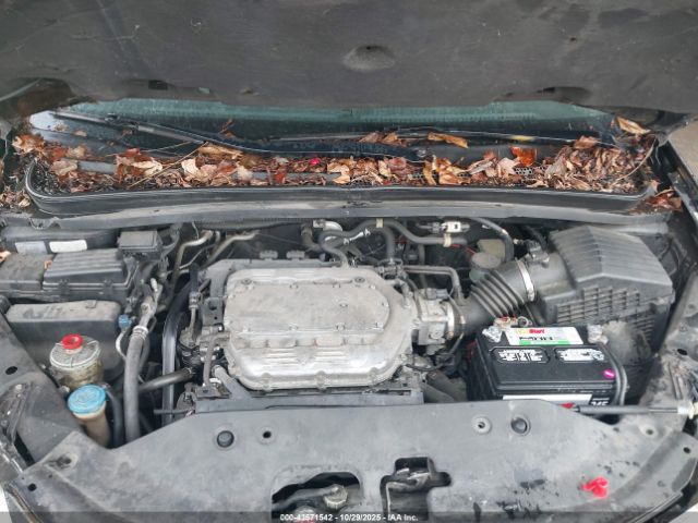 2010 HONDA ODYSSEY 5FNRL3H97AB039089 Photo 9