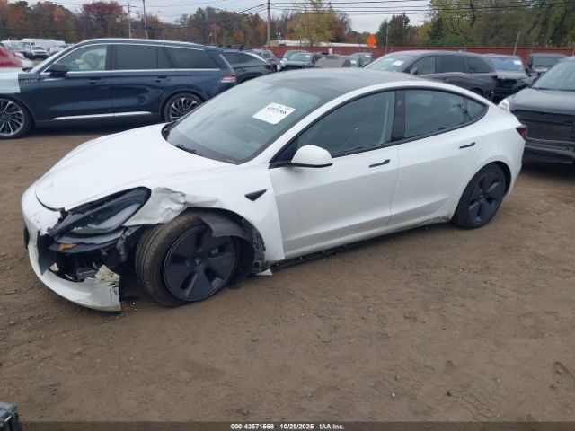 2022 TESLA MODEL 3 5YJ3E1EB3NF194854 Photo 5