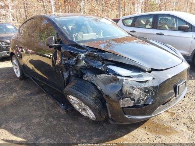 2023 TESLA MODEL Y 7SAYGAEEXPF606445 Photo 0