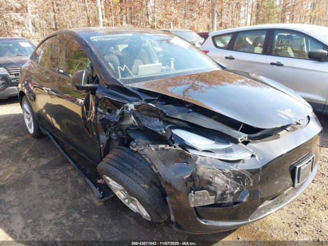 2023 TESLA MODEL Y 7SAYGAEEXPF606445 Photo 5