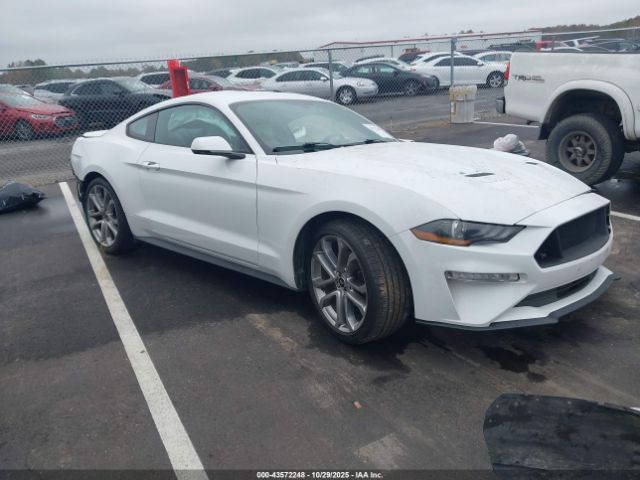 2019 FORD MUSTANG 1FA6P8TH4K5119557