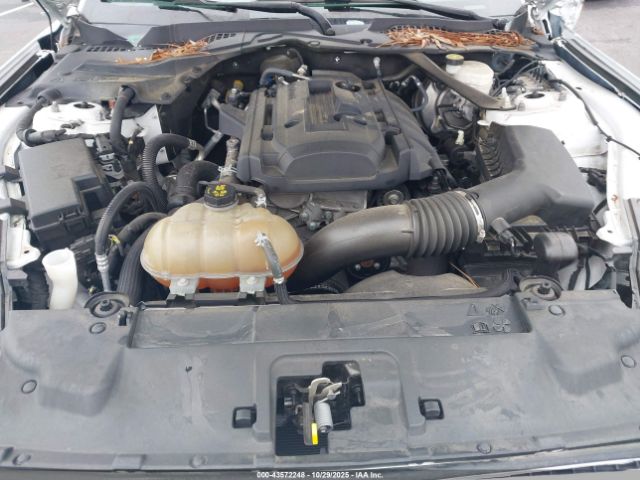 2019 FORD MUSTANG 1FA6P8TH4K5119557 Photo 9